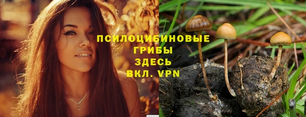эйфоретик Ахтубинск