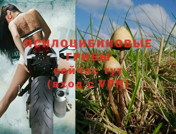 стаф Бежецк